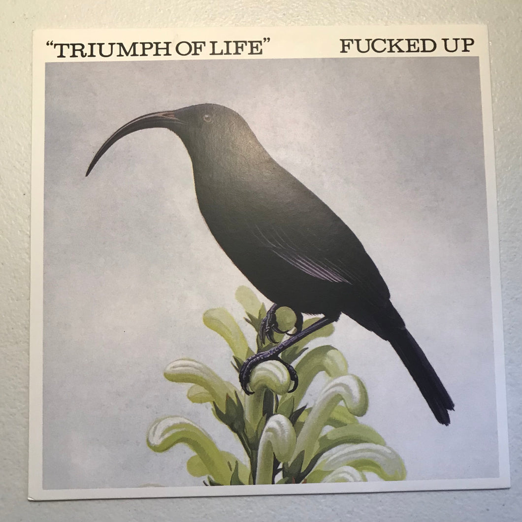 Fucked Up - Triumph of Life (45rpm on pink vinyl)